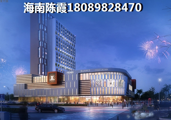 海口市touzi房产前景2025