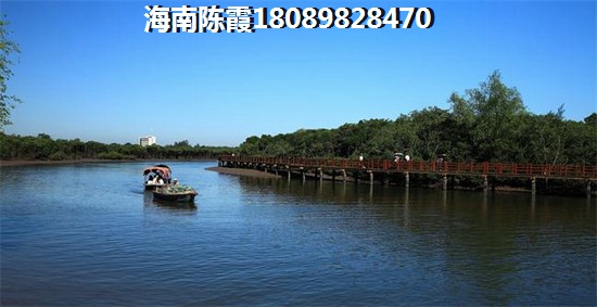 海甸上苑生纸原因详细分析！