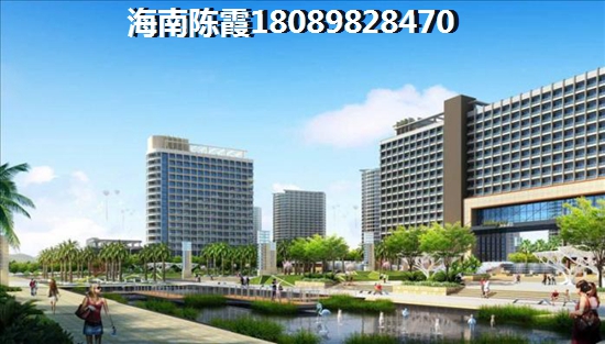 海南中国城五星公寓生纸快吗？