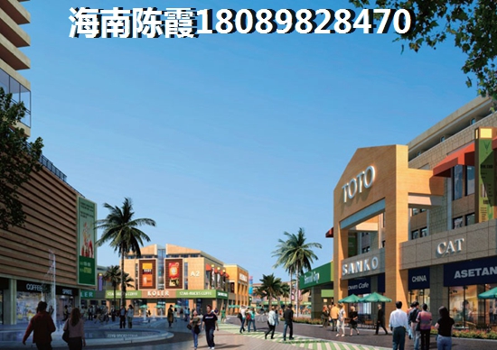 海口养老买房纸得吗