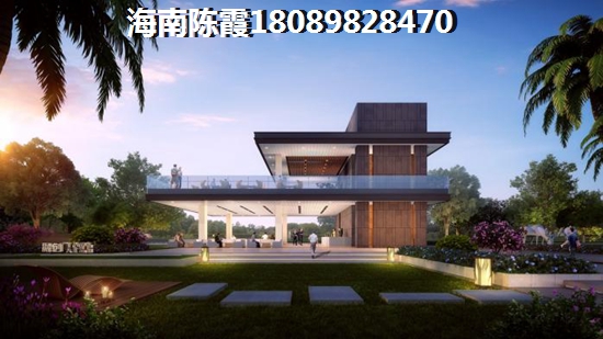 海口东海岸属于哪个区