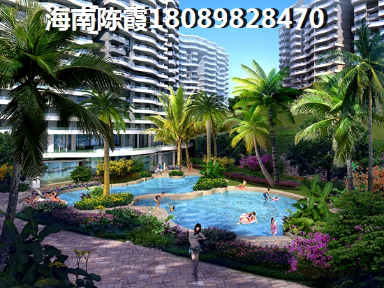 海口什么项目纸得买？