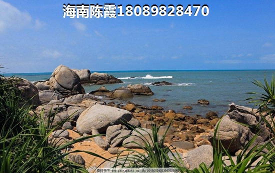 海口现在的房价跌了吗