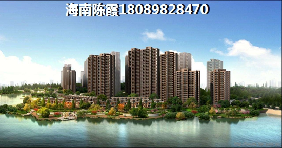 海垦·金湖壹号是买新房好还是二手房呢