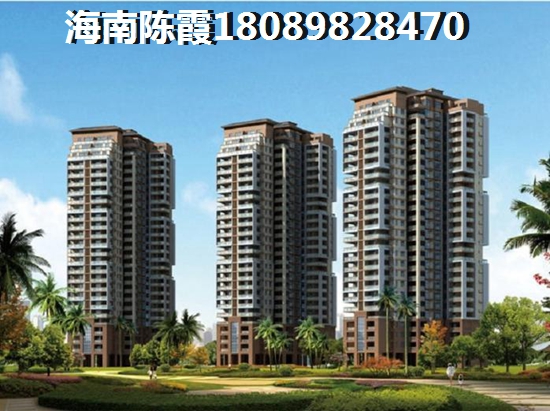 海口以后什么有前景? 海口以后什么有前景?