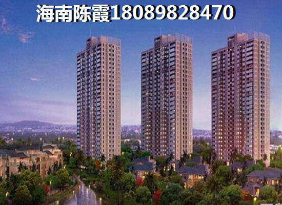 海口以后什么有前景? 海口以后什么有前景?