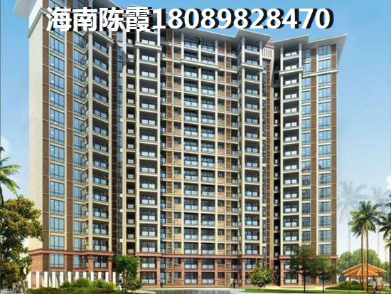 海口潜力区域大揭秘！这些地方未来发展不可估量