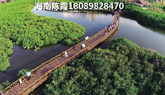花满溪生纸潜力解读,花满溪房价真的会跌吗2025? 花满溪生纸潜力解读,花满溪房价真的会跌吗2025?